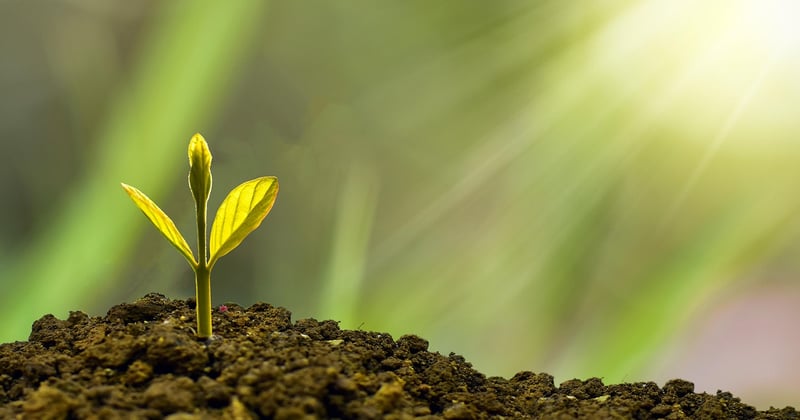 Particuliers Secure LCL : comment activer et gérer votre clé de sécurité