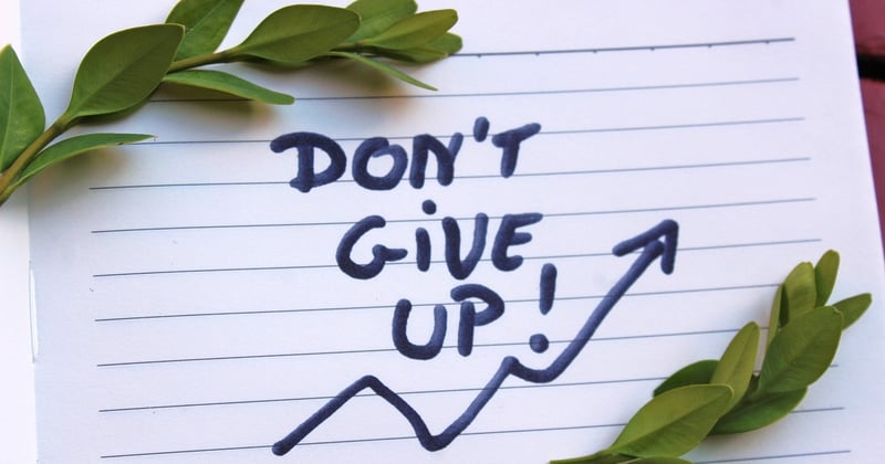 Lettre de motivation pour stage en 3ème vétérinaire : nos conseils et exemple