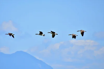 Comment passer de manager à leader inspirant ?